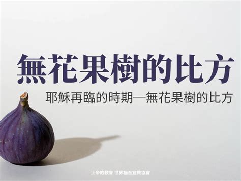 無花果樹象徵|無花果的象徵與寓意：從信仰到日常生活的啟示